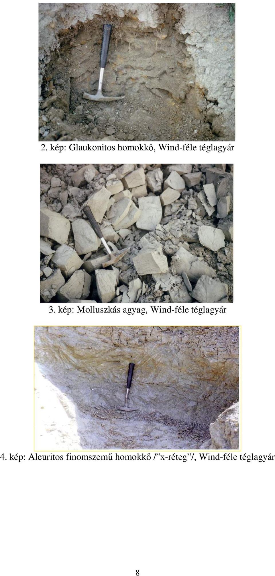 kép: Molluszkás agyag, Wind-féle