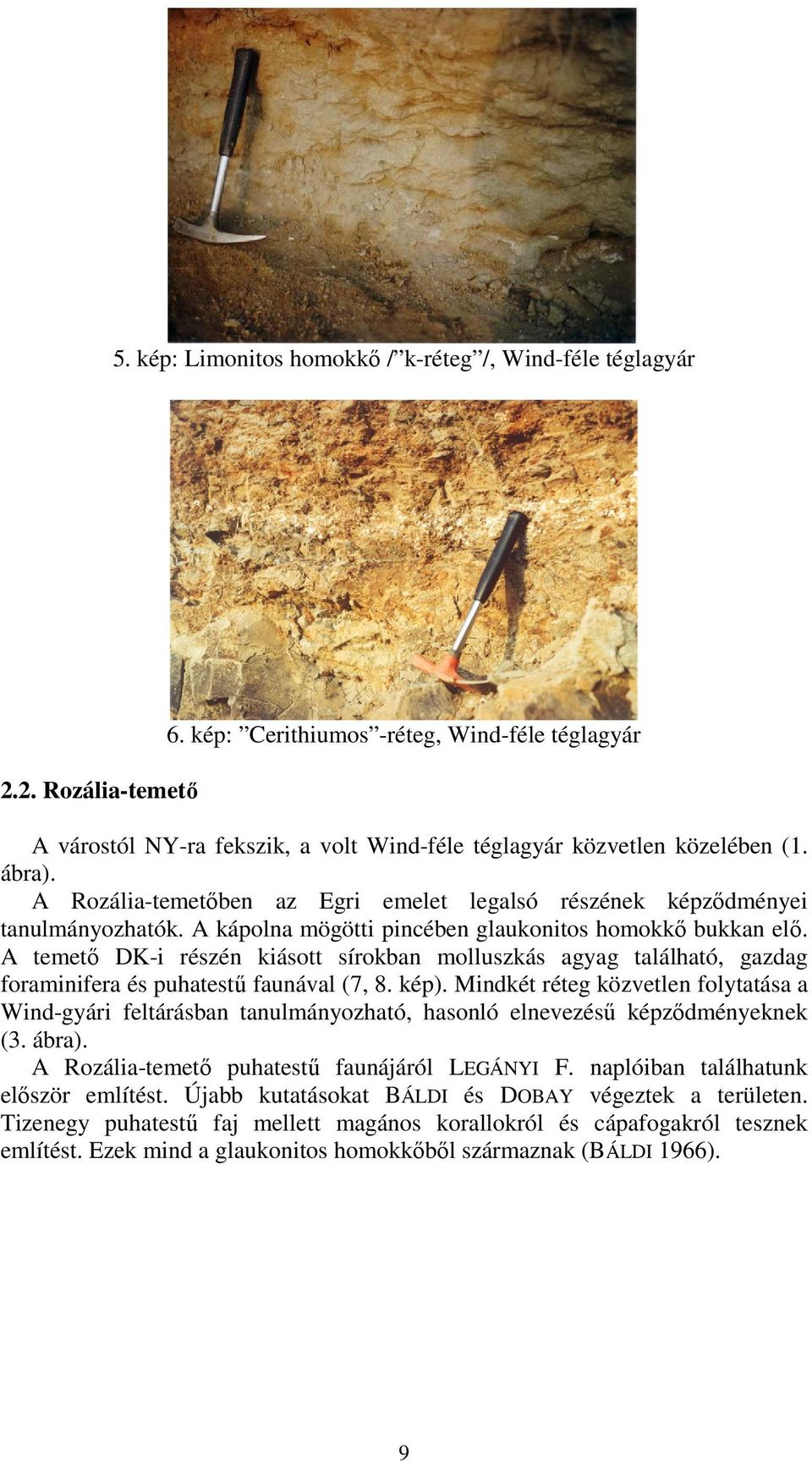 A Rozália-temetıben az Egri emelet legalsó részének képzıdményei tanulmányozhatók. A kápolna mögötti pincében glaukonitos homokkı bukkan elı.