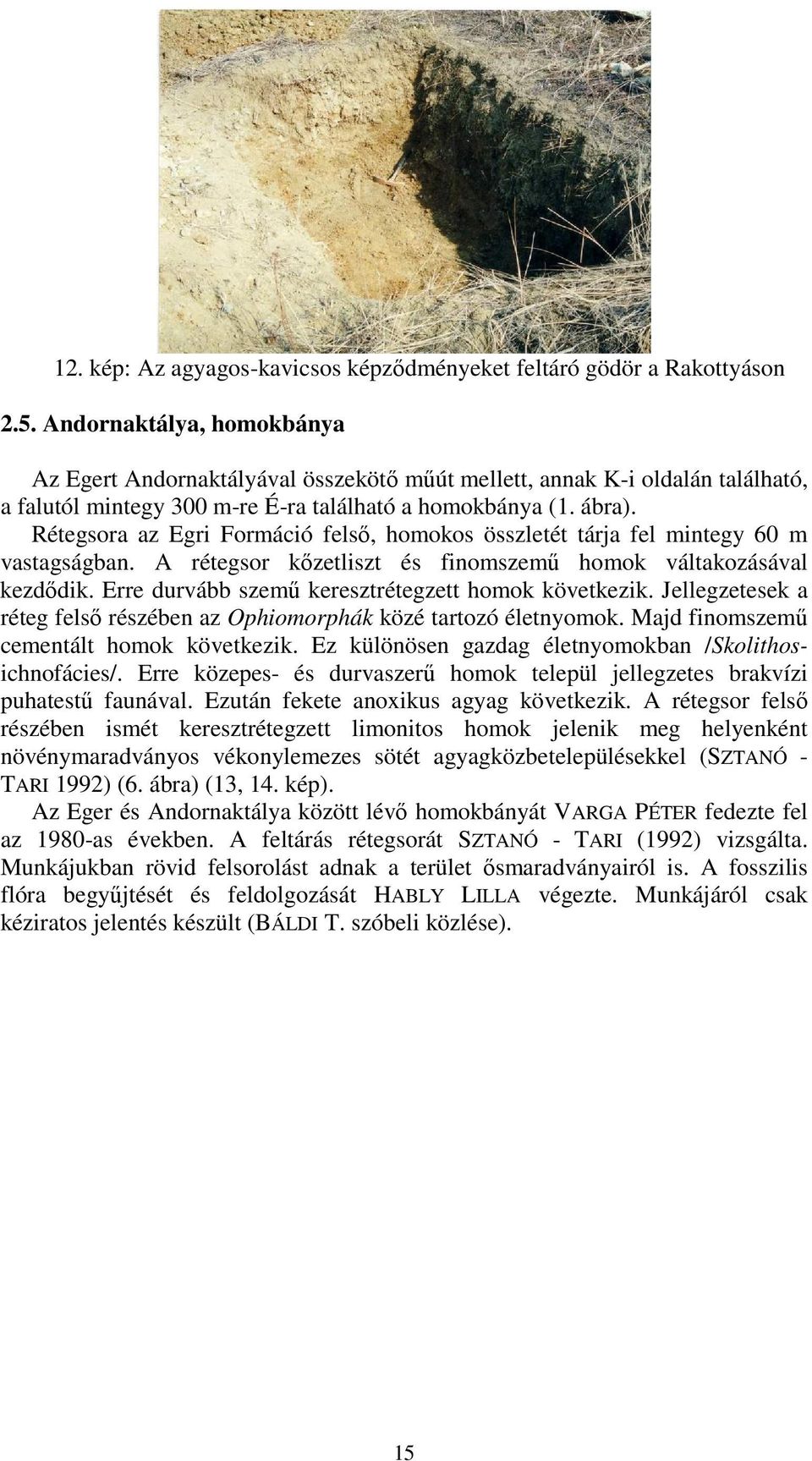 Rétegsora az Egri Formáció felsı, homokos összletét tárja fel mintegy 60 m vastagságban. A rétegsor kızetliszt és finomszemő homok váltakozásával kezdıdik.