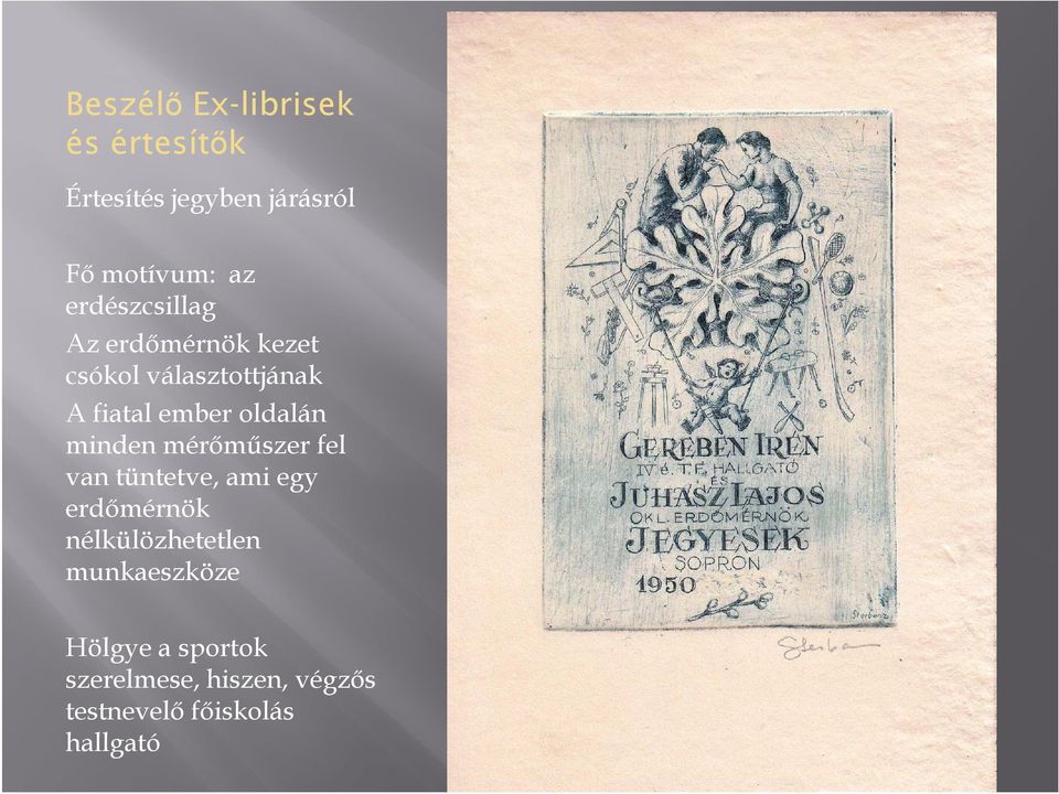 ember oldalán minden mérőműszer fel van tüntetve, ami egy erdőmérnök