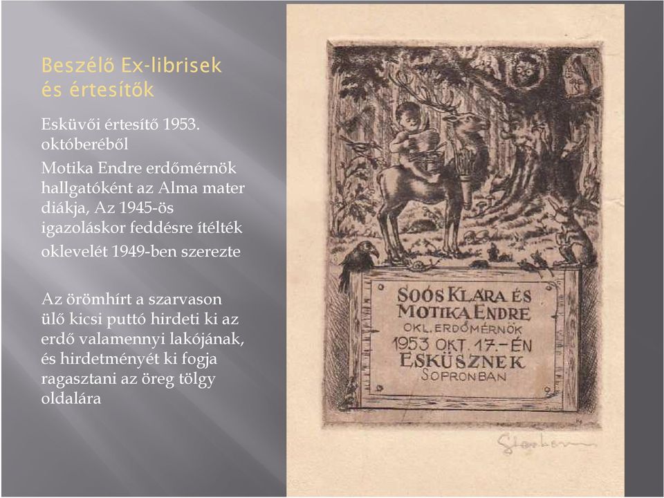 1945-ös igazoláskor feddésre ítélték oklevelét 1949-ben szerezte Az