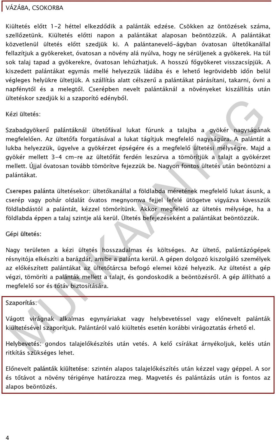 Ha túl sok talaj tapad a gyökerekre, óvatosan lehúzhatjuk. A hosszú főgyökeret visszacsípjük.