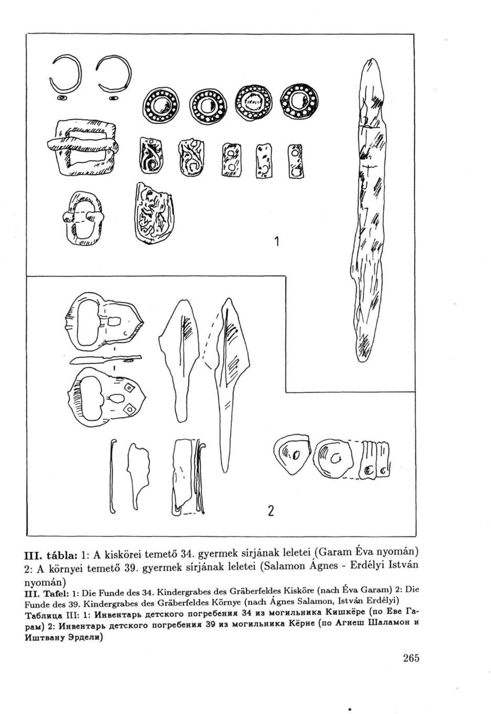 Kindergrabes des Gräberfeldes Kisköre (nach Eva Garam) 2: Die Funde des 39.