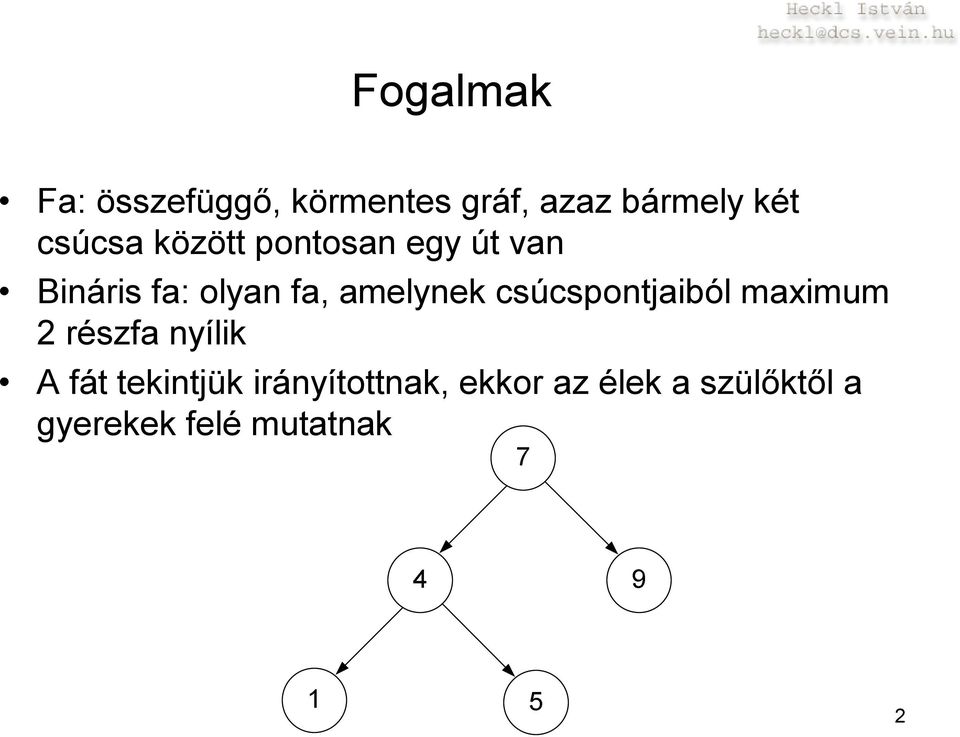 amelynek csúcspontjaiból maximum 2 részfa nyílik A fát