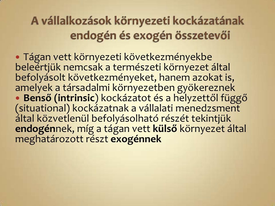 kockázatot és a helyzettől függő (situational) kockázatnak a vállalati menedzsment által közvetlenül