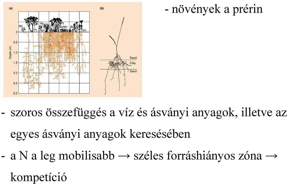 ásványi anyagok keresésében - a N a leg