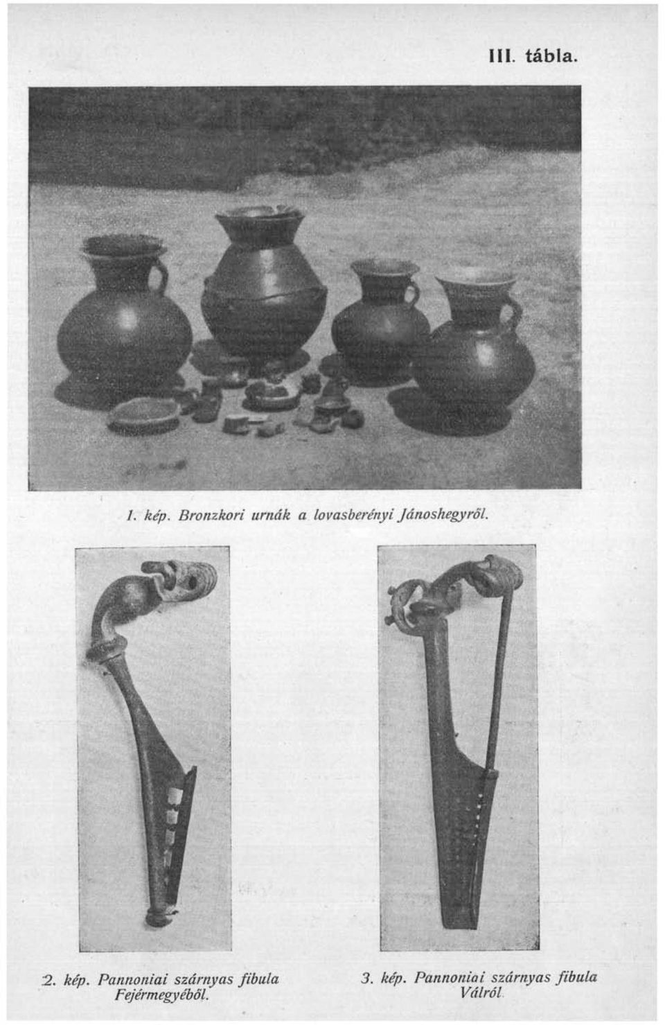 Jánoshegyről. 2. kép.