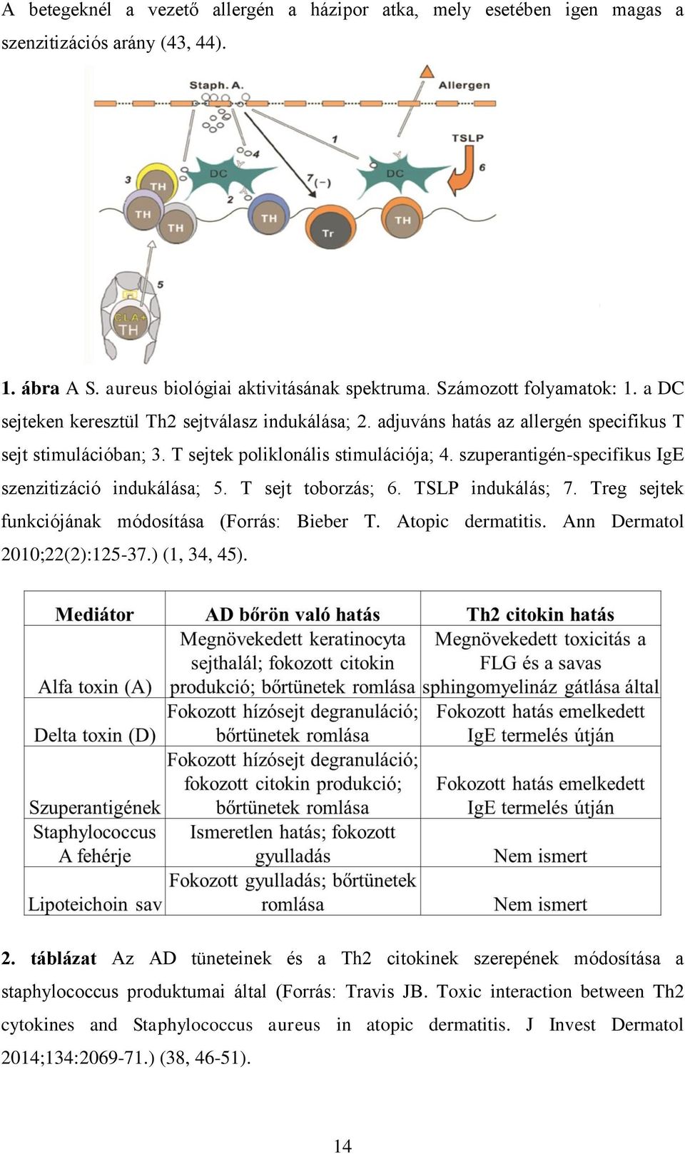 szuperantigén-specifikus IgE szenzitizáció indukálása; 5. T sejt toborzás; 6. TSLP indukálás; 7. Treg sejtek funkciójának módosítása (Forrás: Bieber T. Atopic dermatitis.