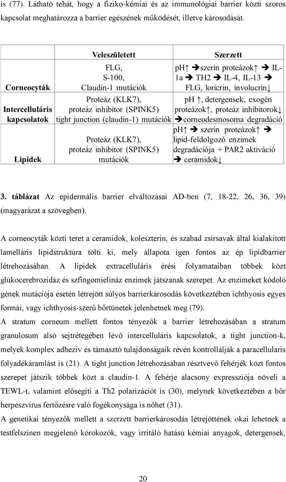 A corneocyták közti teret a ceramidok, koleszterin, és szabad zsírsavak által kialakított lamelláris lipidstruktúra tölti ki, mely állapota igen fontos az ép lipidbarrier létrehozásában.