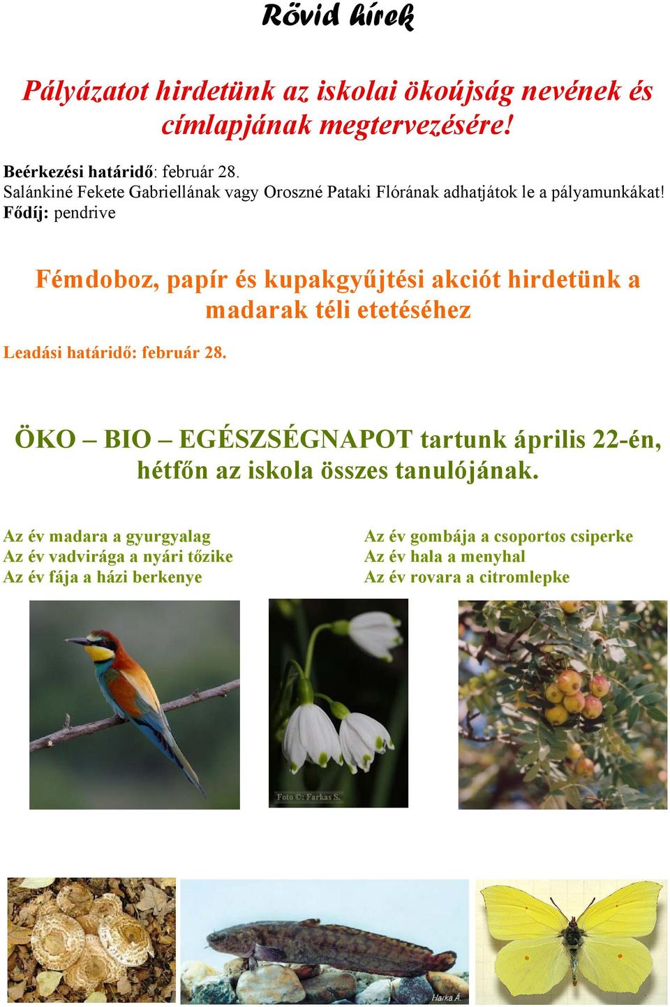 Fődíj: pendrive Fémdoboz, papír és kupakgyűjtési akciót hirdetünk a madarak téli etetéséhez Leadási határidő: február 28.