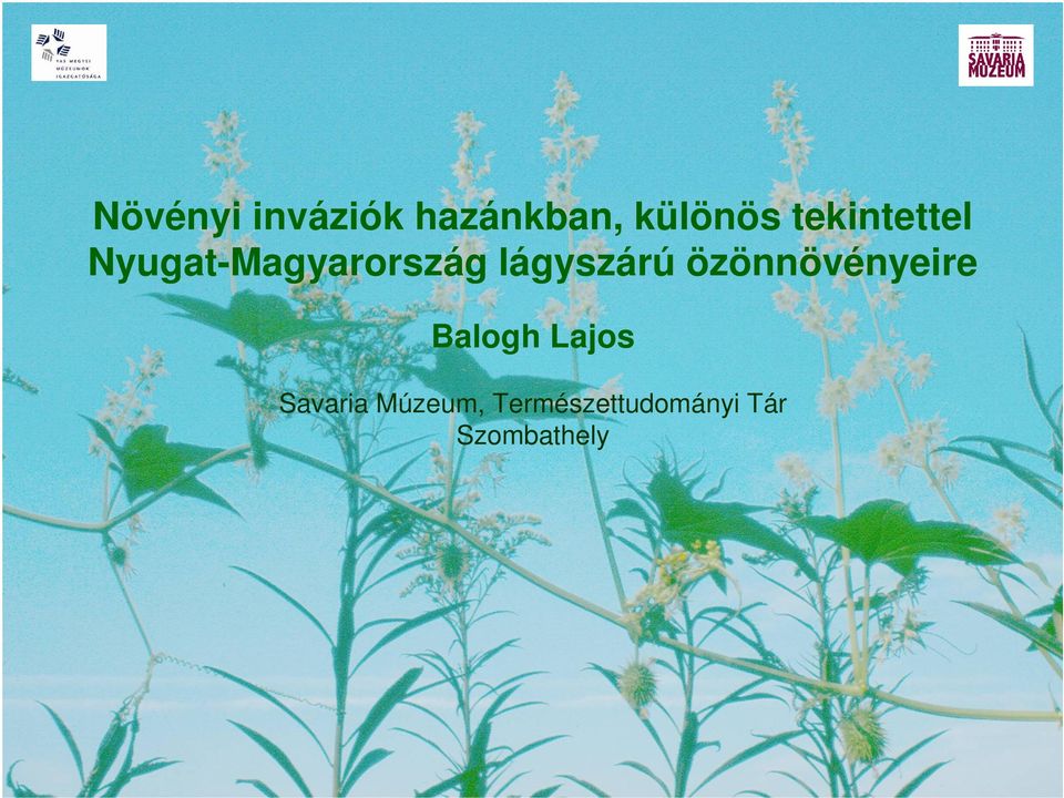 lágyszárú özönnövényeire Balogh Lajos