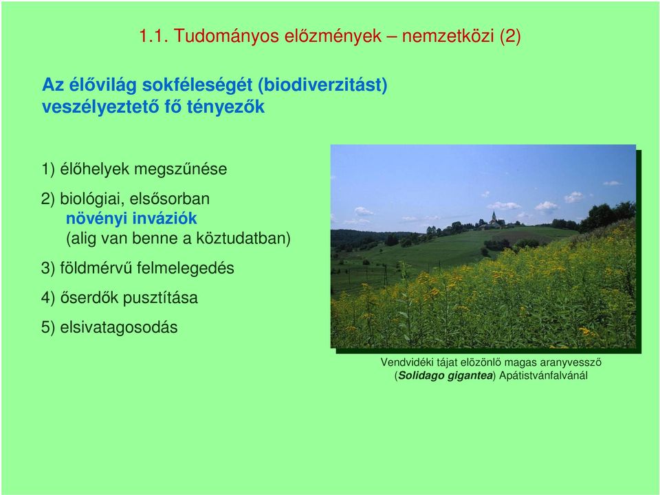 inváziók (alig van benne a köztudatban) 3) földmérvű felmelegedés 4) őserdők pusztítása