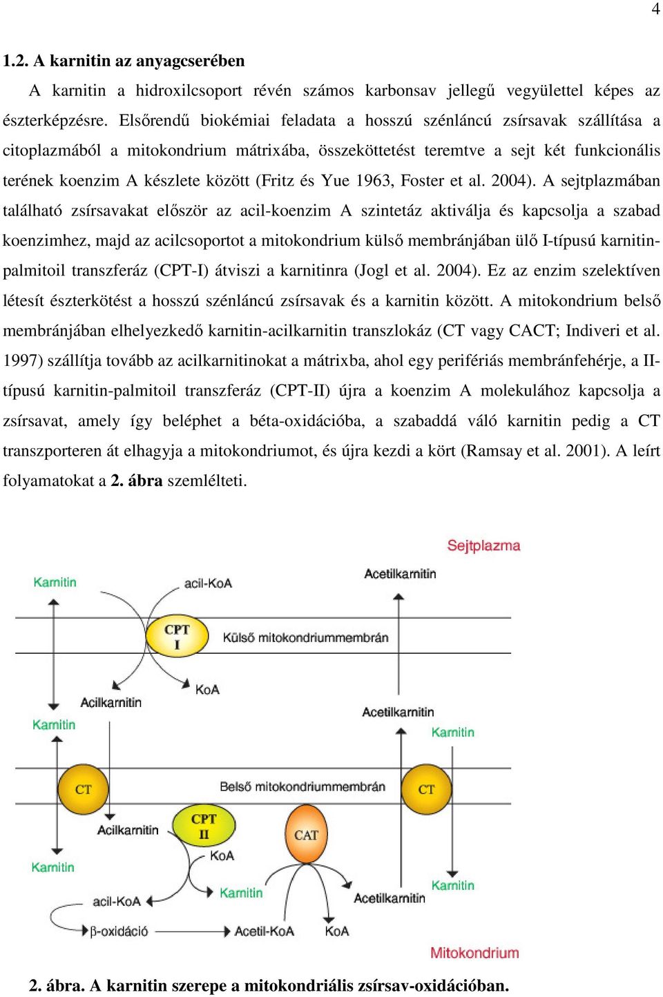 és Yue 1963, Foster et al. 2004).