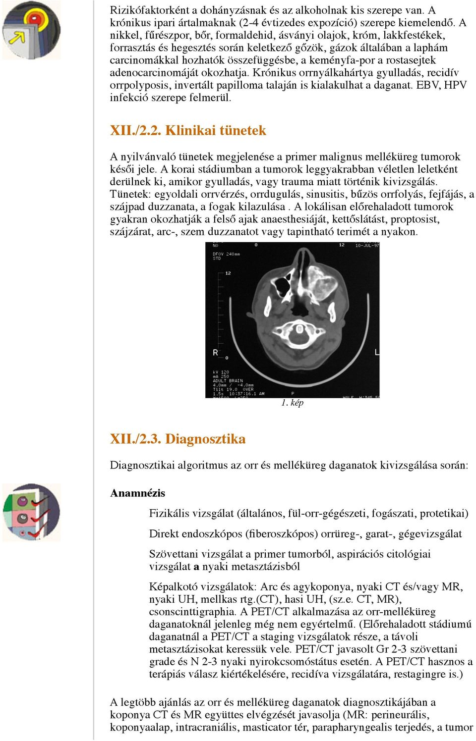 a rostasejtek adenocarcinomáját okozhatja. Krónikus orrnyálkahártya gyulladás, recidív orrpolyposis, invertált papilloma talaján is kialakulhat a daganat. EBV, HPV infekció szerepe felmerül. XII./2.