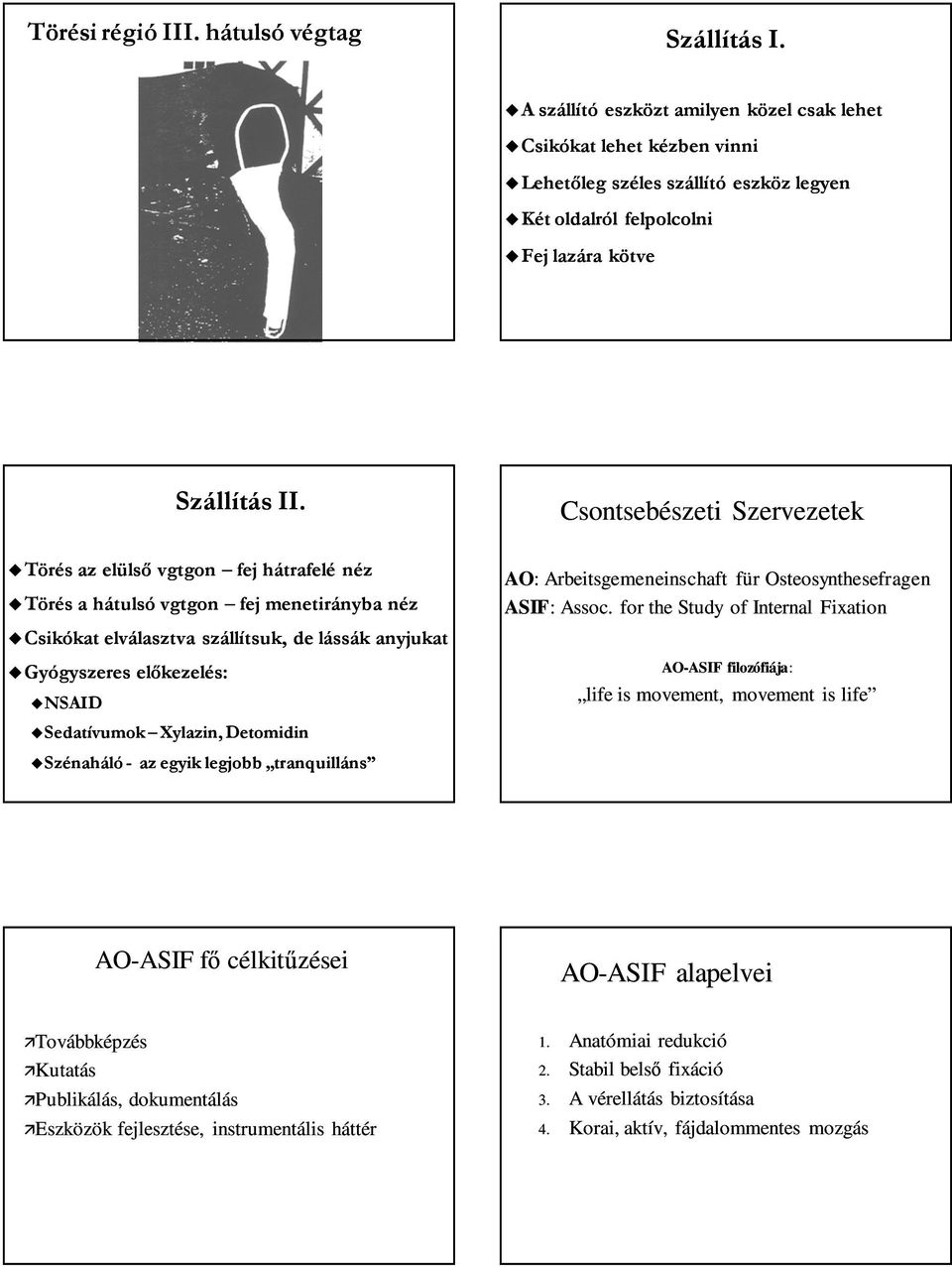 Nyílt ízületi sérülések ellátása lovon. Nyílt ízületi sérülések ellátása  lovon. Klinikai tünetek - PDF Ingyenes letöltés