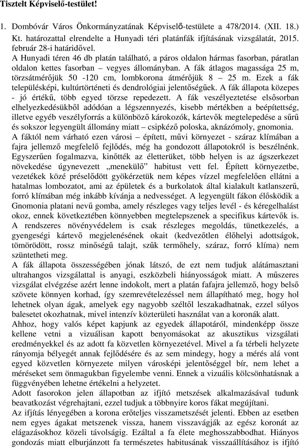 A fák átlagos magassága 25 m, törzsátmérőjük 50-120 cm, lombkorona átmérőjük 8 25 m. Ezek a fák településképi, kultúrtörténeti és dendrológiai jelentőségűek.