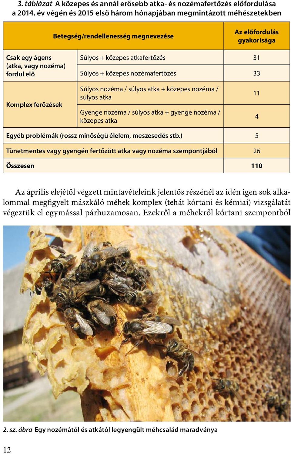 atkafertőzés 31 Súlyos + közepes nozémafertőzés 33 Komplex ferőzések Súlyos nozéma / súlyos atka + közepes nozéma / súlyos atka Gyenge nozéma / súlyos atka + gyenge nozéma / közepes atka 11 4 Egyéb