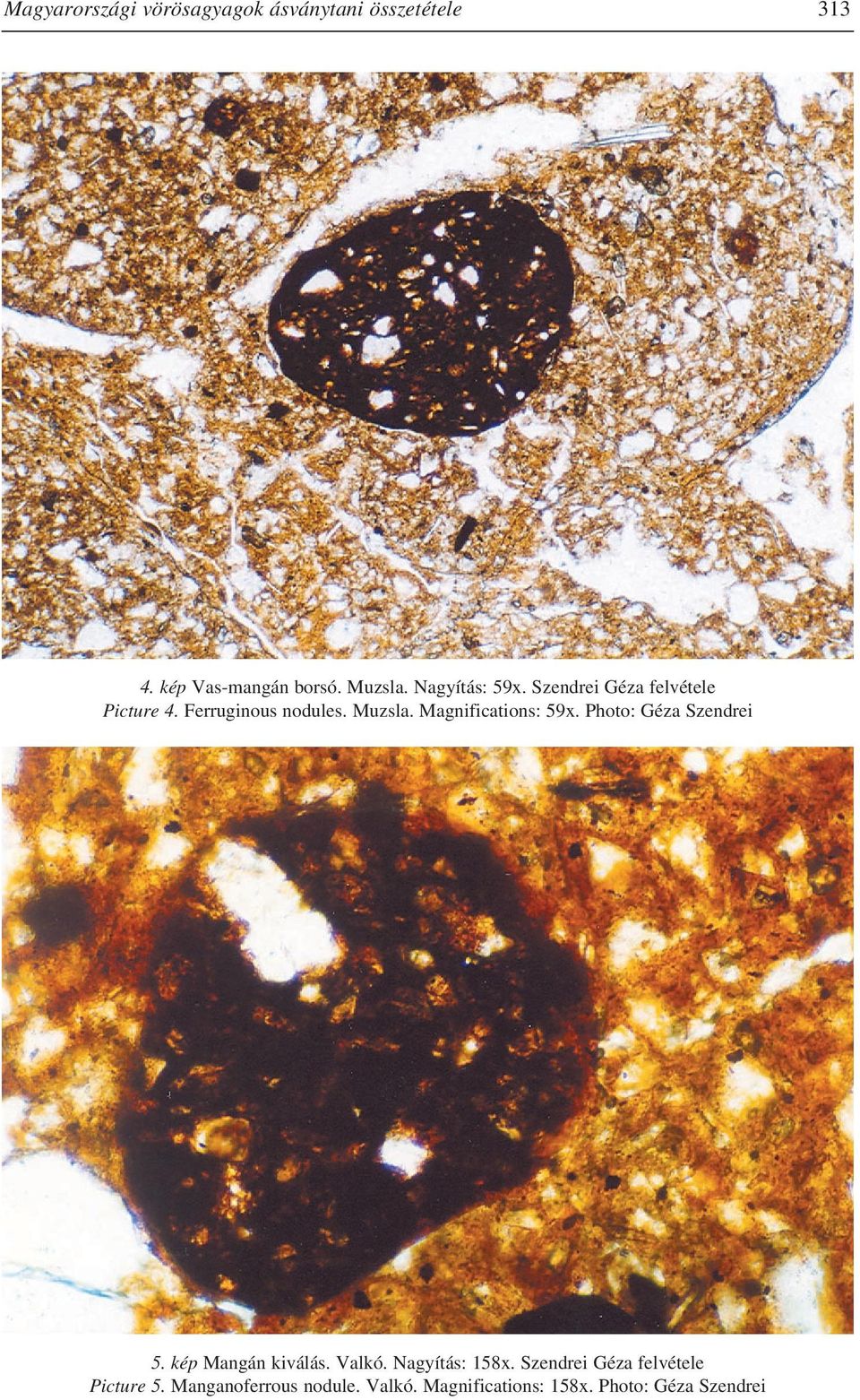Magnifications: 59x. Photo: Géza Szendrei 5. kép Mangán kiválás. Valkó. Nagyítás: 158x.