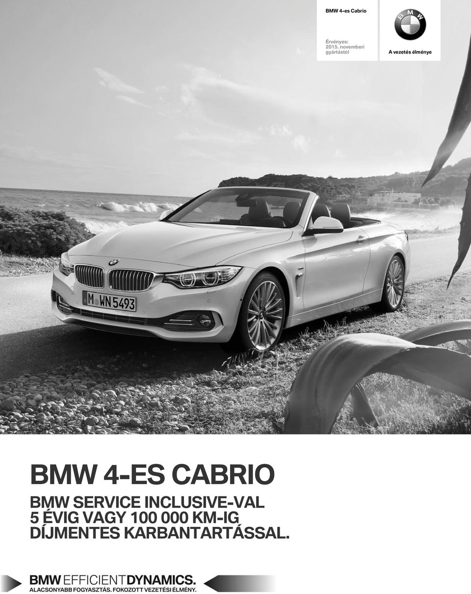BMW 4-ES CaBRI BMW SERVICE INCLUSIVE-VaL