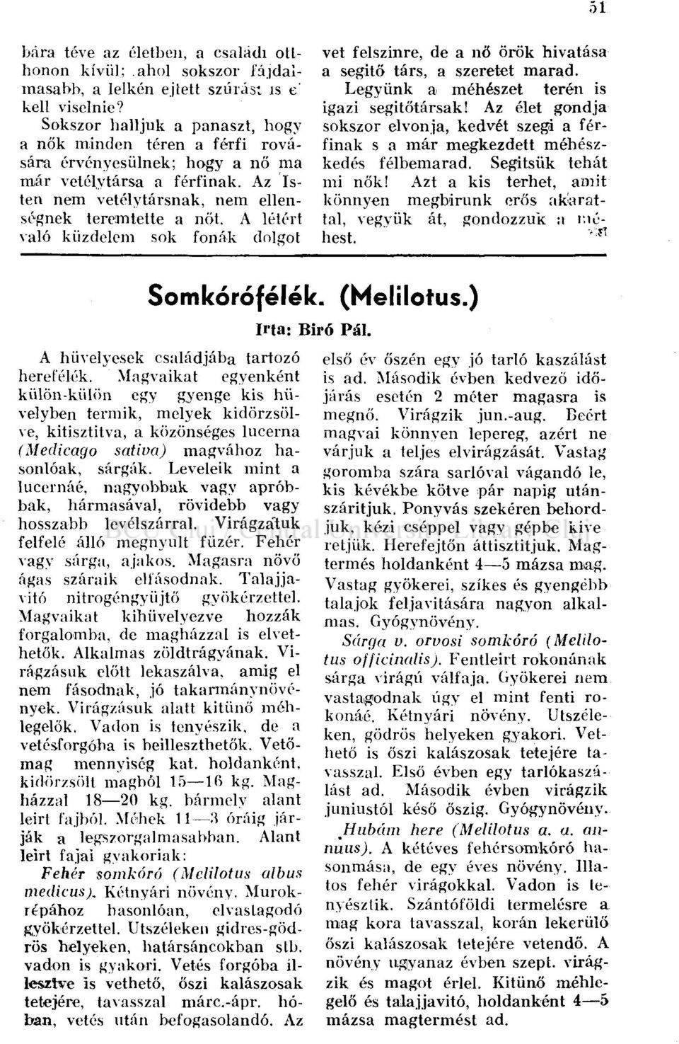 A létért való küzdelem sok fonák dolgot vet felszínre, de a nő örök hivatása a segítő társ, a szeretet marad. Legyünk a méhészet terén is igazi segítőtársak!