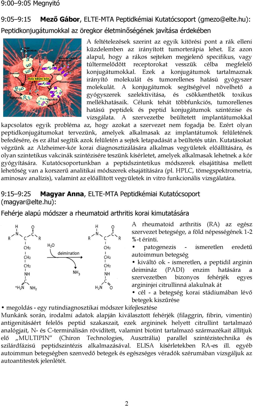 Ez azon alapul, hogy a rákos sejteken megjelenő specifikus, vagy túltermelődött receptorokat vesszük célba megfelelő konjugátumokkal.
