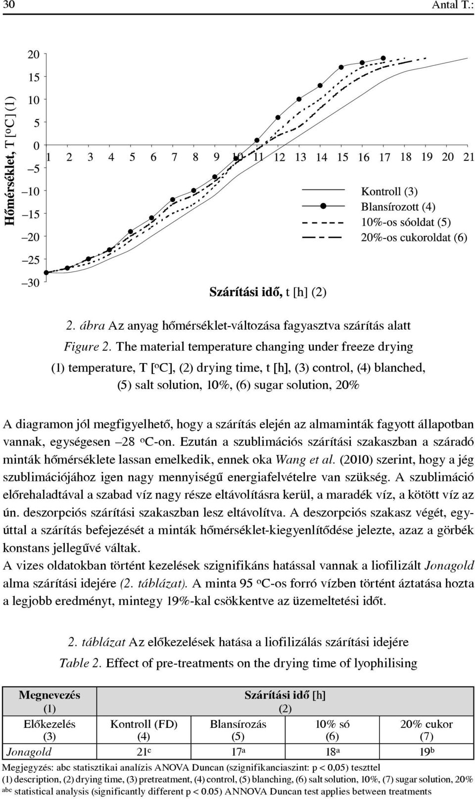 megfigyelhetô, hogy a szárítás elején az almaminták fagyott állapotban vannak, egységesen 28 o C-on.