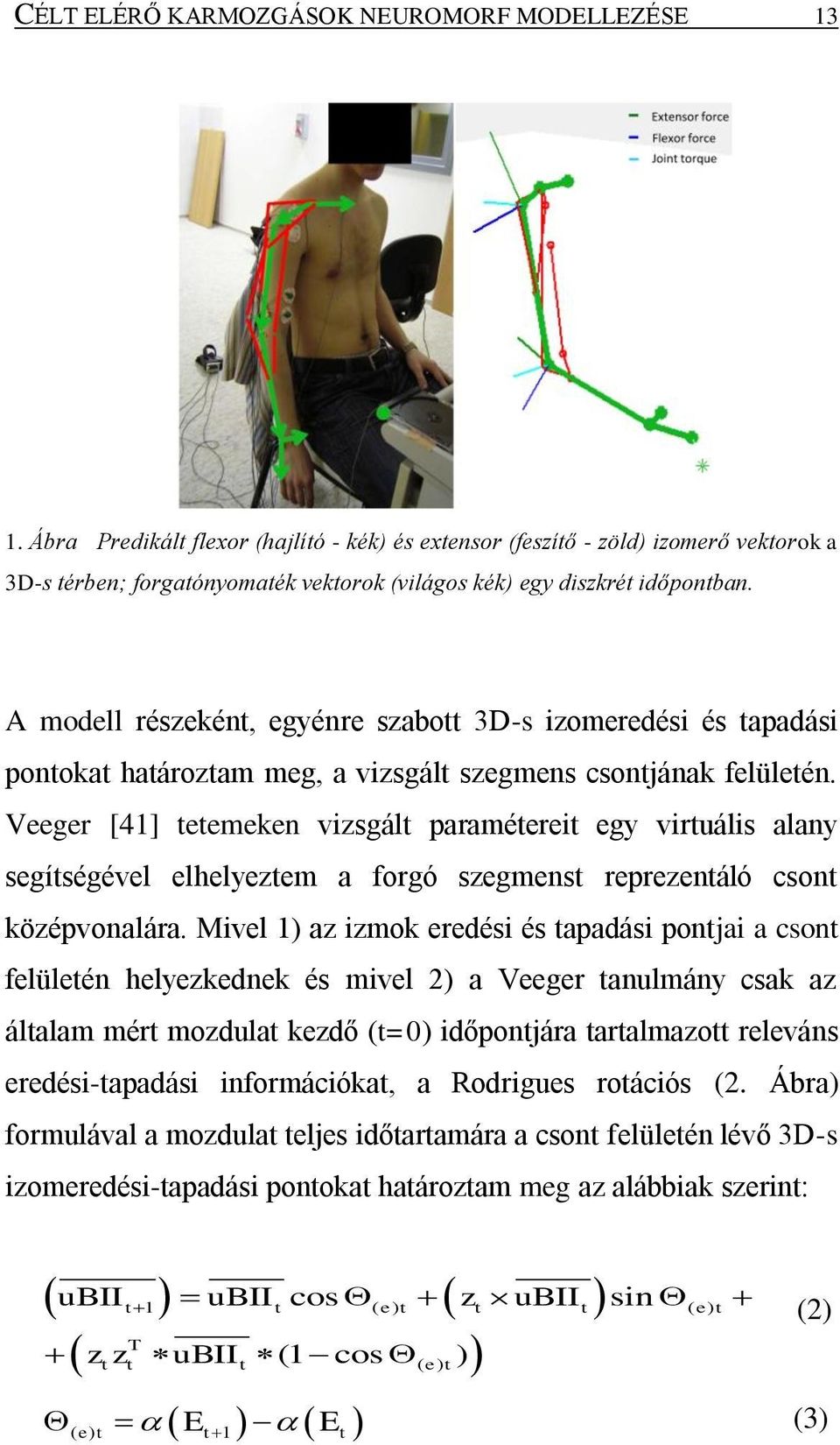 A modell részeként, egyénre szabott 3D-s izomeredési és tapadási pontokat határoztam meg, a vizsgált szegmens csontjának felületén.