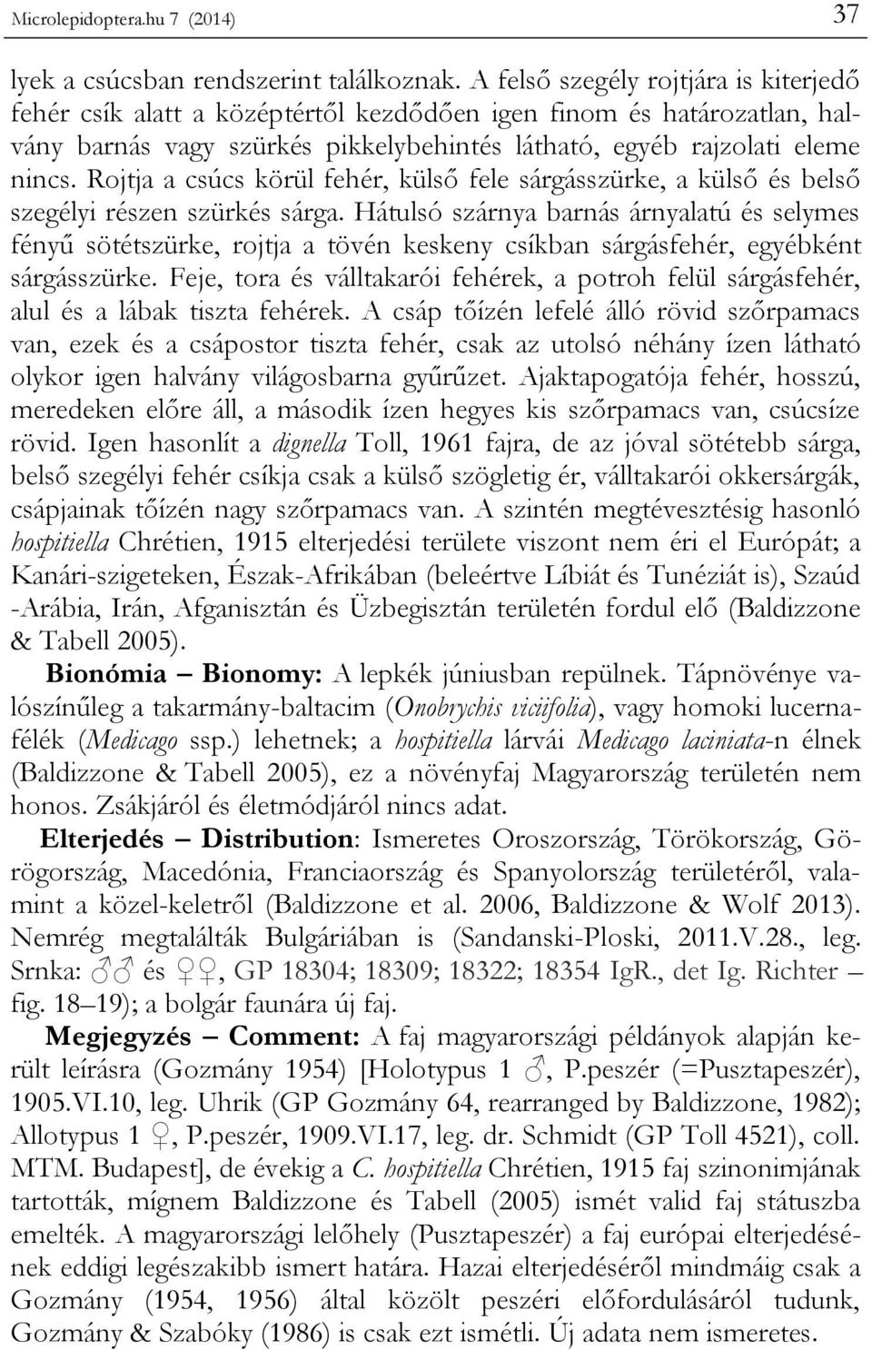 Rojtja a csúcs körül fehér, külső fele sárgásszürke, a külső és belső szegélyi részen szürkés sárga.