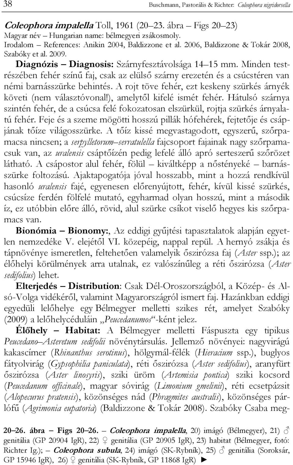 Minden testrészében fehér színű faj, csak az elülső szárny erezetén és a csúcstéren van némi barnásszürke behintés. A rojt töve fehér, ezt keskeny szürkés árnyék követi (nem választóvonal!