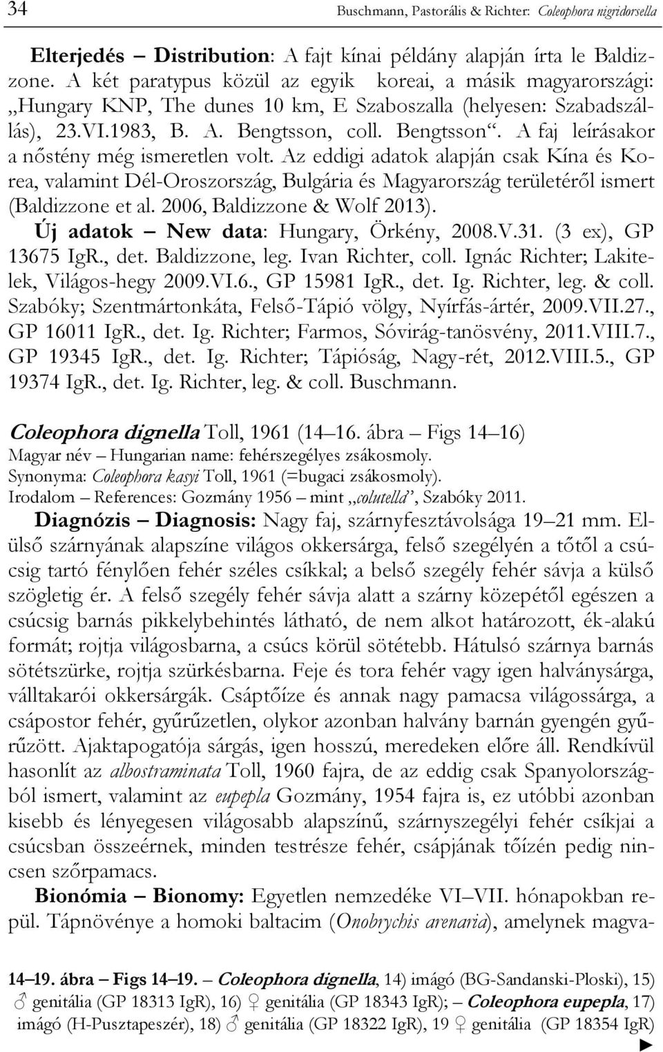 coll. Bengtsson. A faj leírásakor a nőstény még ismeretlen volt. Az eddigi adatok alapján csak Kína és Korea, valamint Dél-Oroszország, Bulgária és Magyarország területéről ismert (Baldizzone et al.
