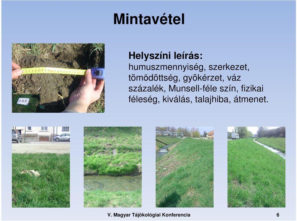 gyökérzet, váz százalék, Munsell-féle