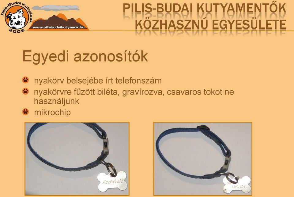 nyakörvre fűzött biléta,