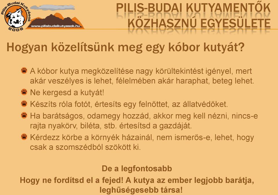 Ne kergesd a kutyát! Készíts róla fotót, értesíts egy felnőttet, az állatvédőket.