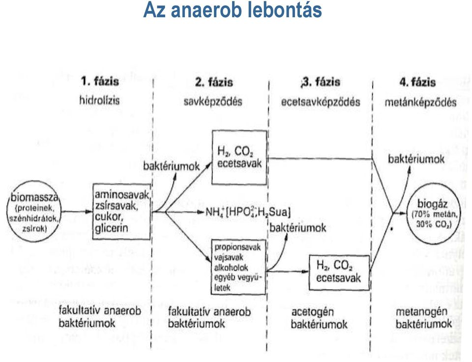 lebontás