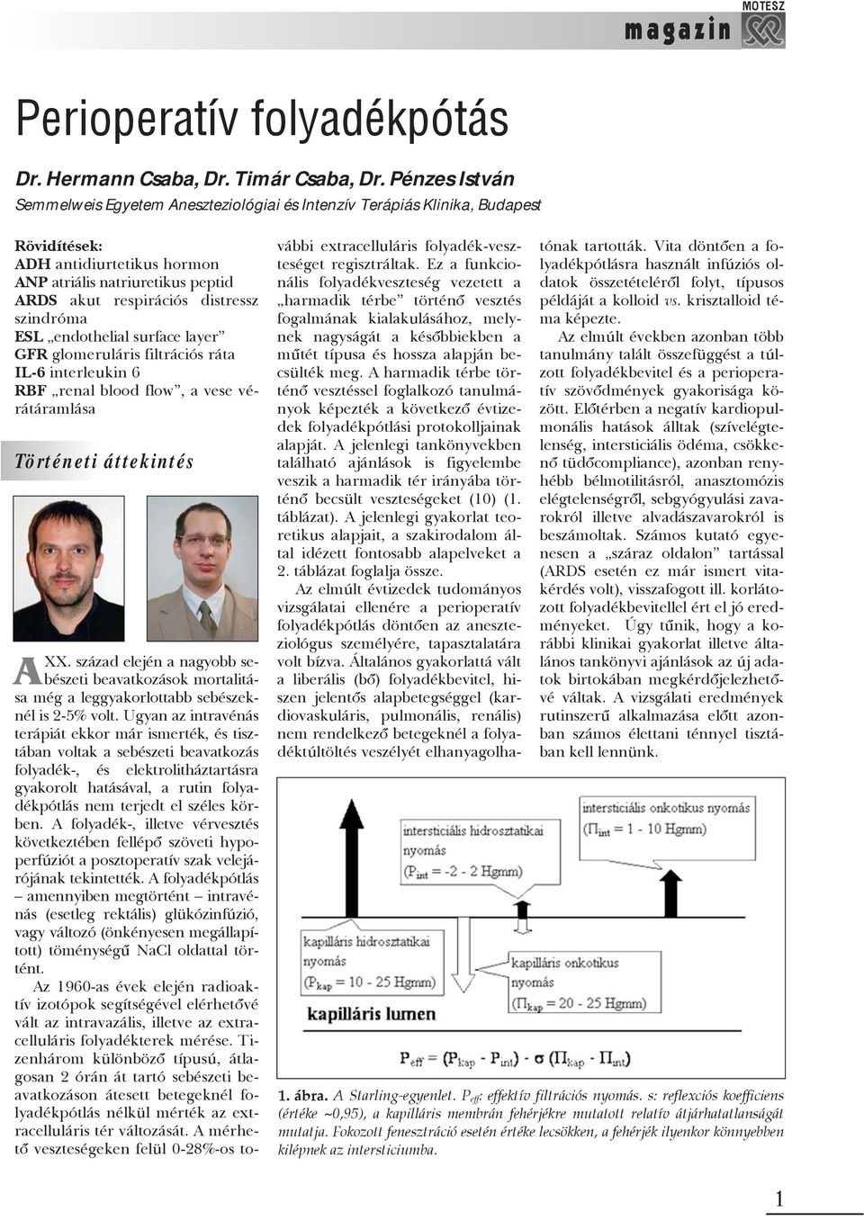 szindróma ESL endothelial surface layer GFR glomeruláris filtrációs ráta IL-6 interleukin 6 RBF renal blood flow, a vese vérátáramlása Történeti áttekintés AXX.