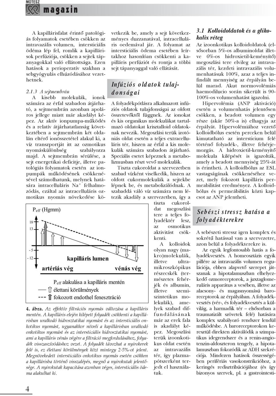 3 A sejtmembrán A kisebb molekulák, ionok számára az érfal szabadon átjárható, a sejtmembrán azonban apoláros jellege miatt már akadályt képez.