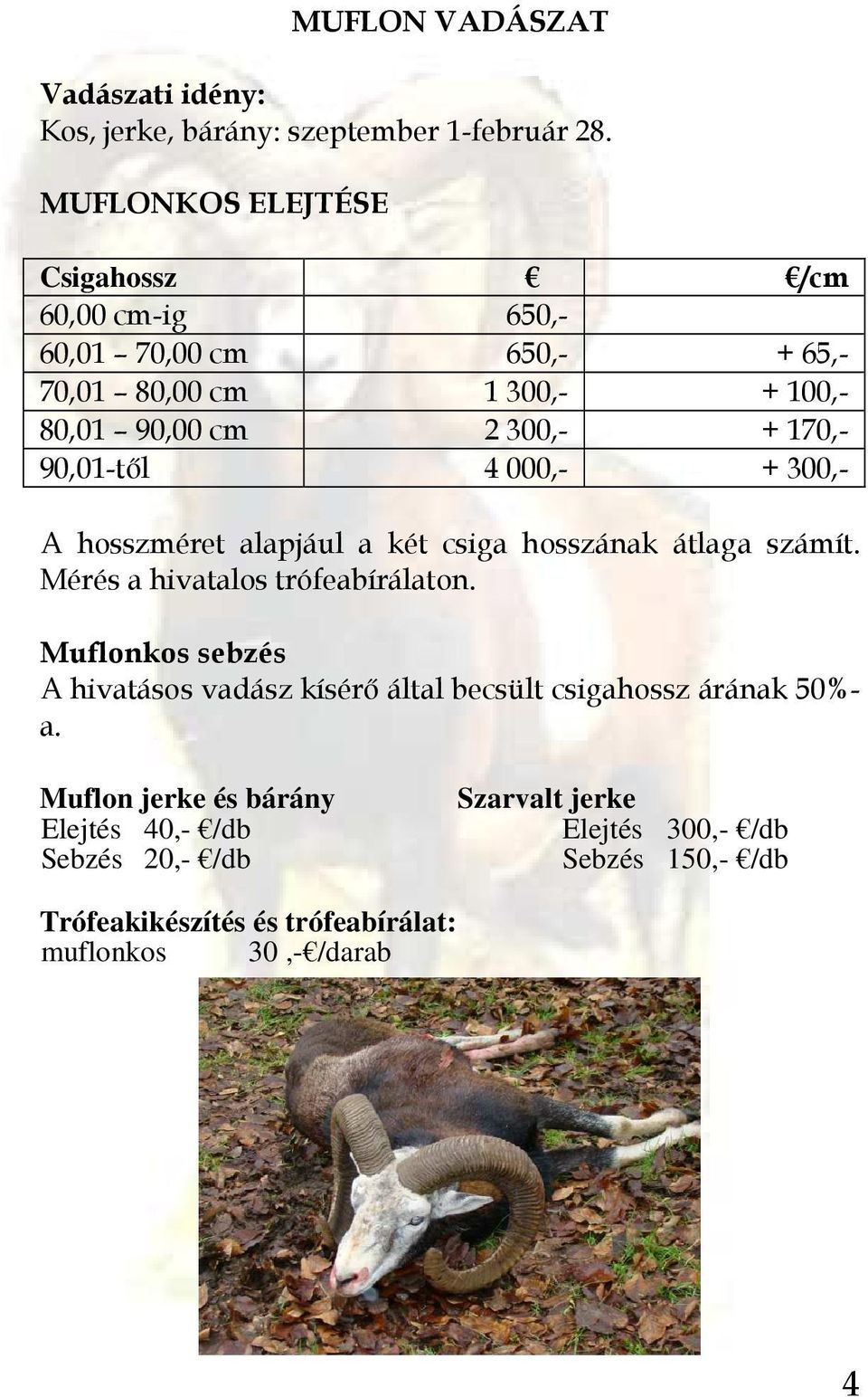 90,01-tıl 4 000,- + 300,- A hosszméret alapjául a két csiga hosszának átlaga számít. Mérés a hivatalos trófeabírálaton.