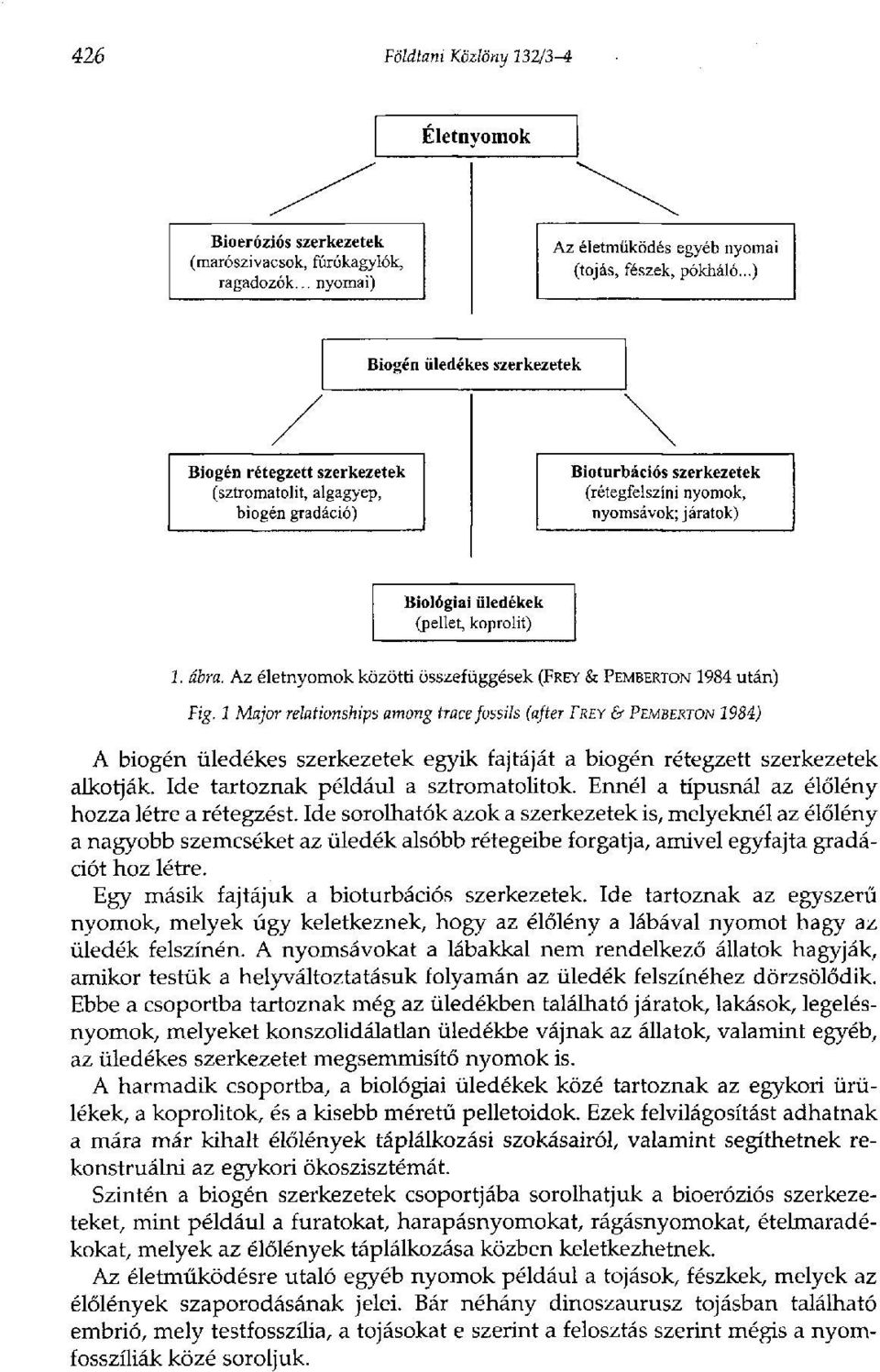 koprolit) 1. ábra. Az életnyomok közötti összefüggések (FREY & PEMBERTON 1984 után) Fig.