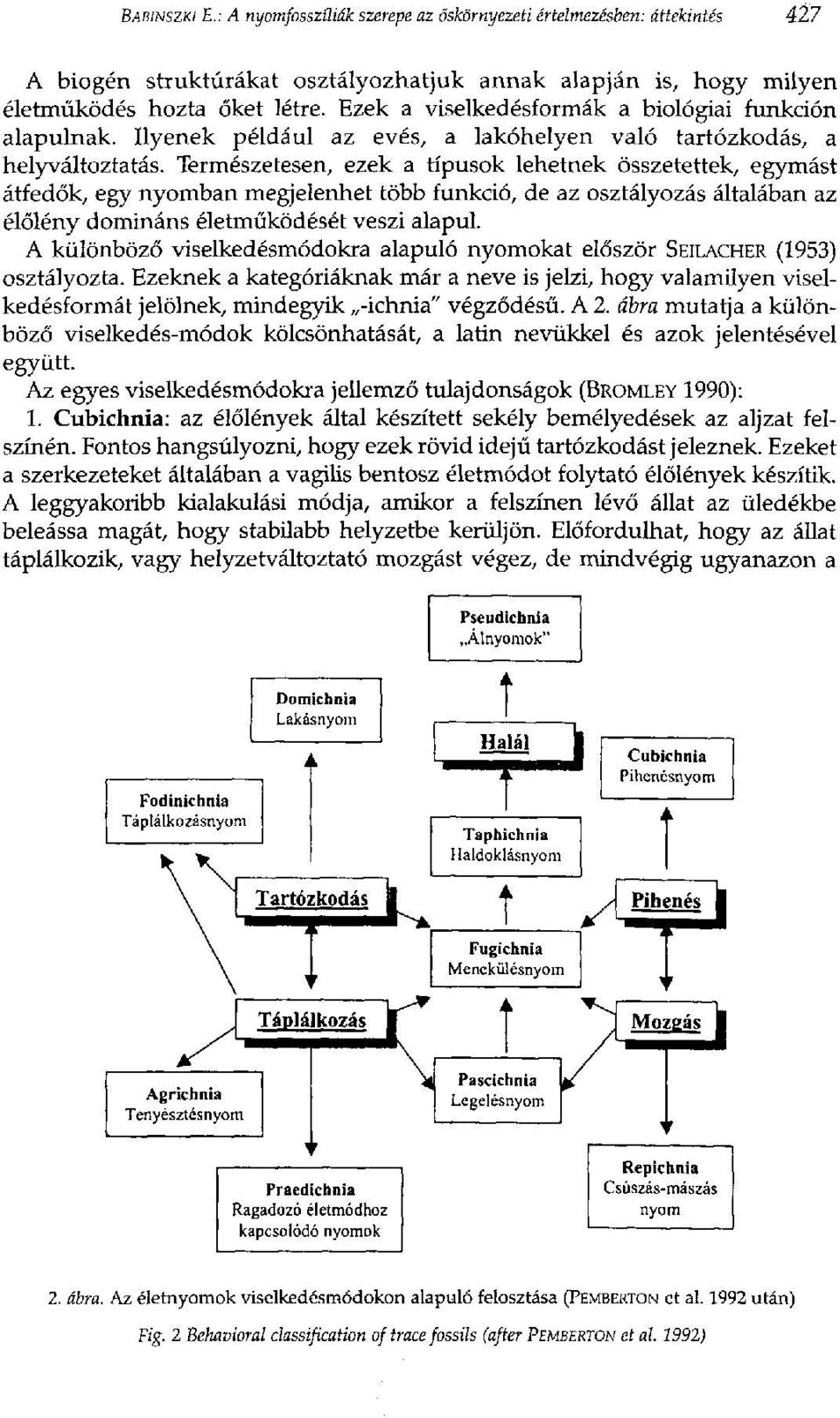 Természetesen, ezek a típusok lehetnek összetettek, egymást átfedők, egy nyomban megjelenhet több funkció, de az osztályozás általában az élőlény domináns életműködését veszi alapul.