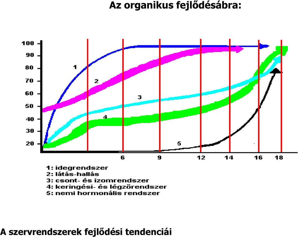 fejlődési