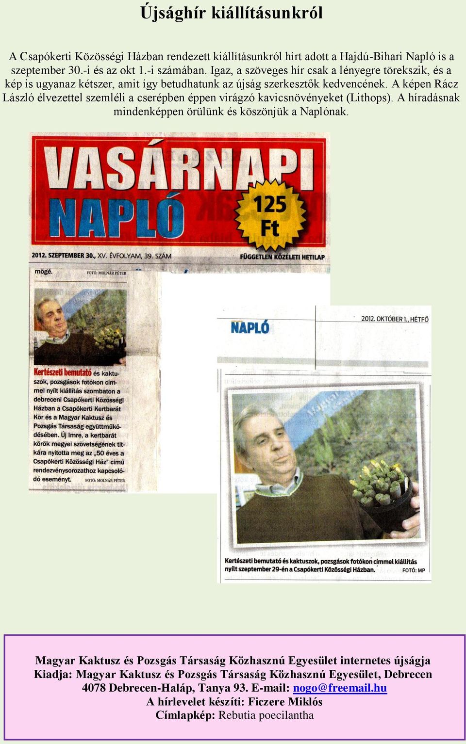 A képen Rácz László élvezettel szemléli a cserépben éppen virágzó kavicsnövényeket (Lithops). A híradásnak mindenképpen örülünk és köszönjük a Naplónak.