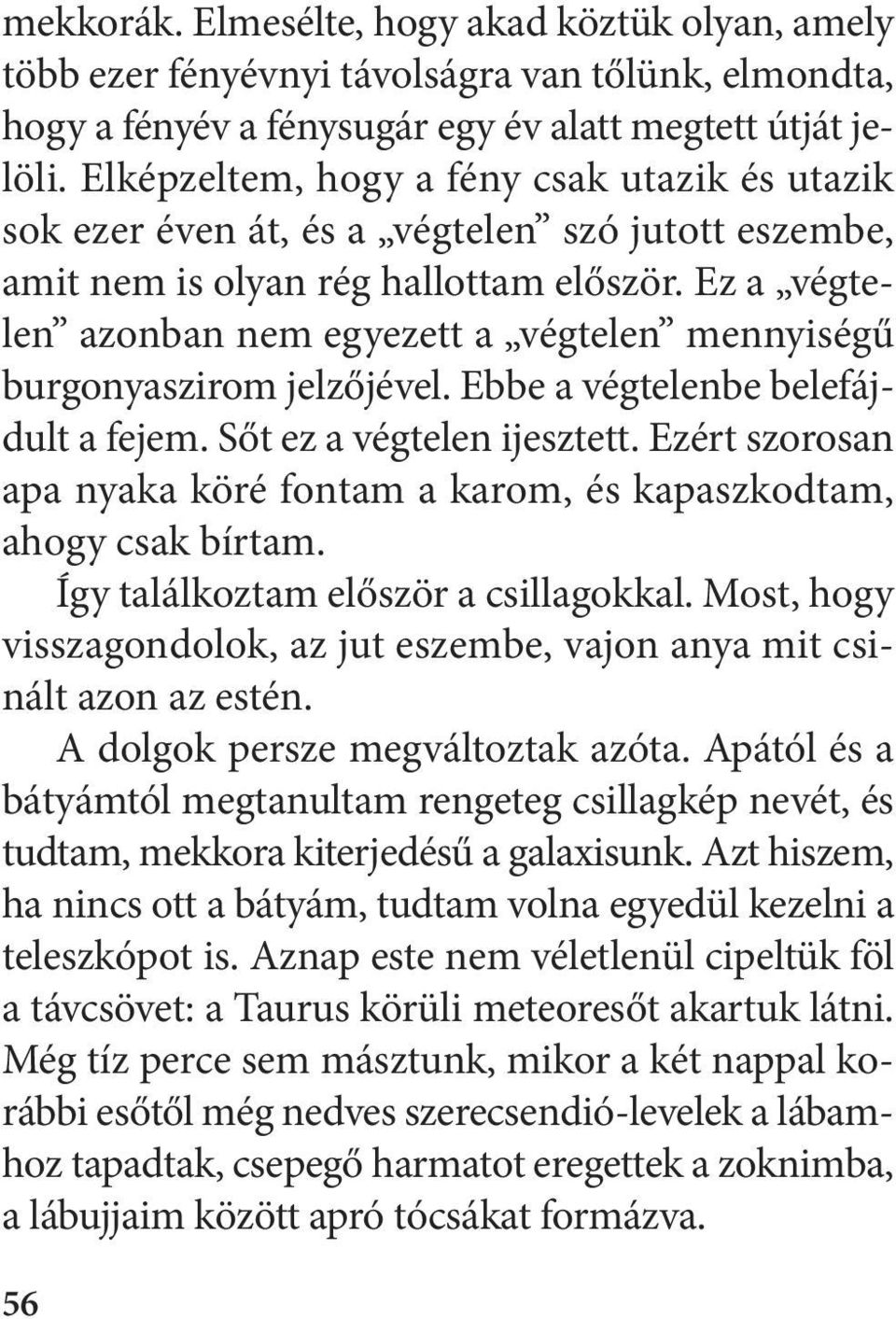 Ez a végtelen azonban nem egyezett a végtelen mennyiségű burgonyaszirom jelzőjével. Ebbe a végtelenbe belefájdult a fejem. Sőt ez a végtelen ijesztett.