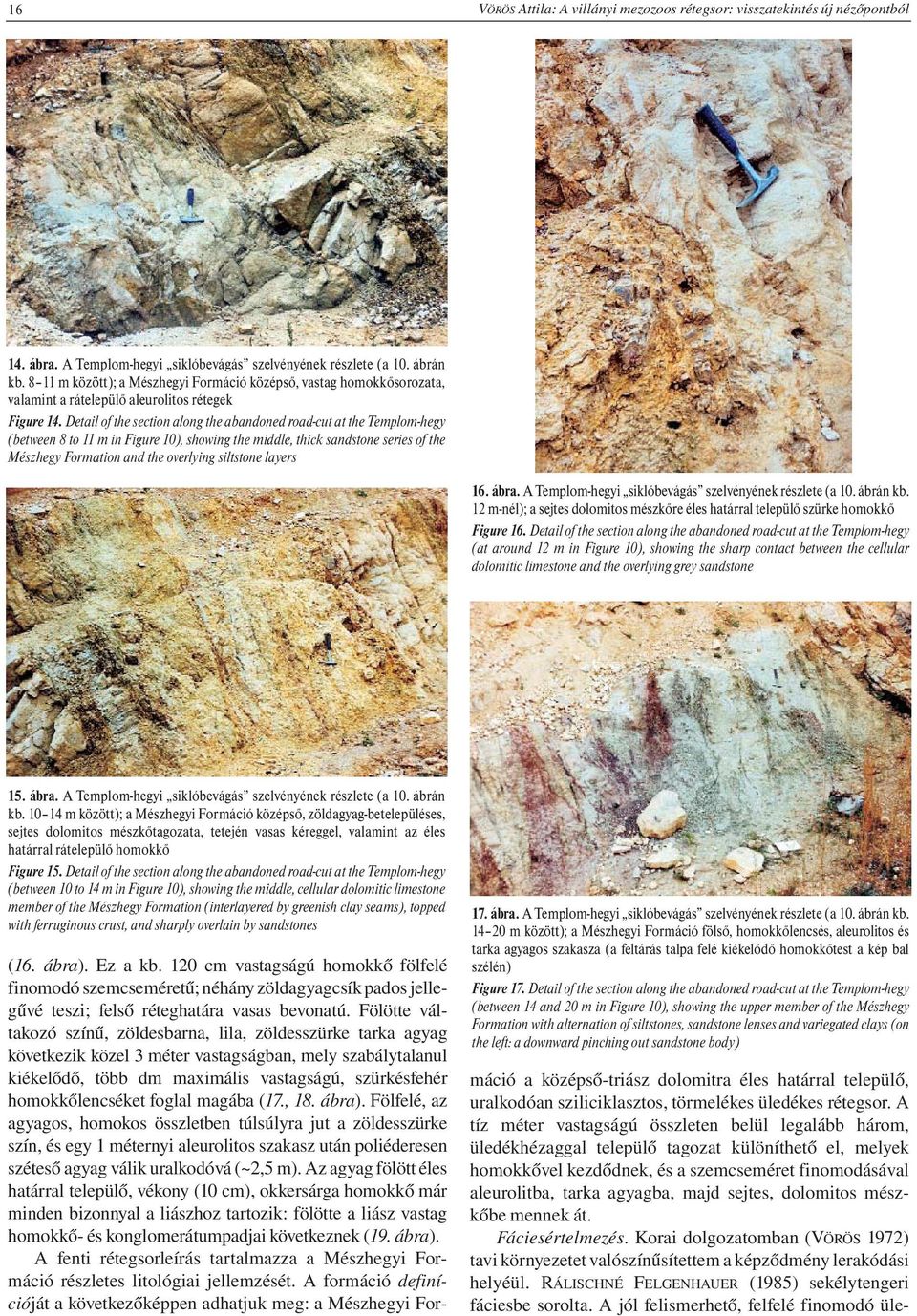 Detail of the section along the abandoned road-cut at the Templom-hegy (between 8 to 11 m in Figure 10), showing the middle, thick sandstone series of the Mészhegy Formation and the overlying