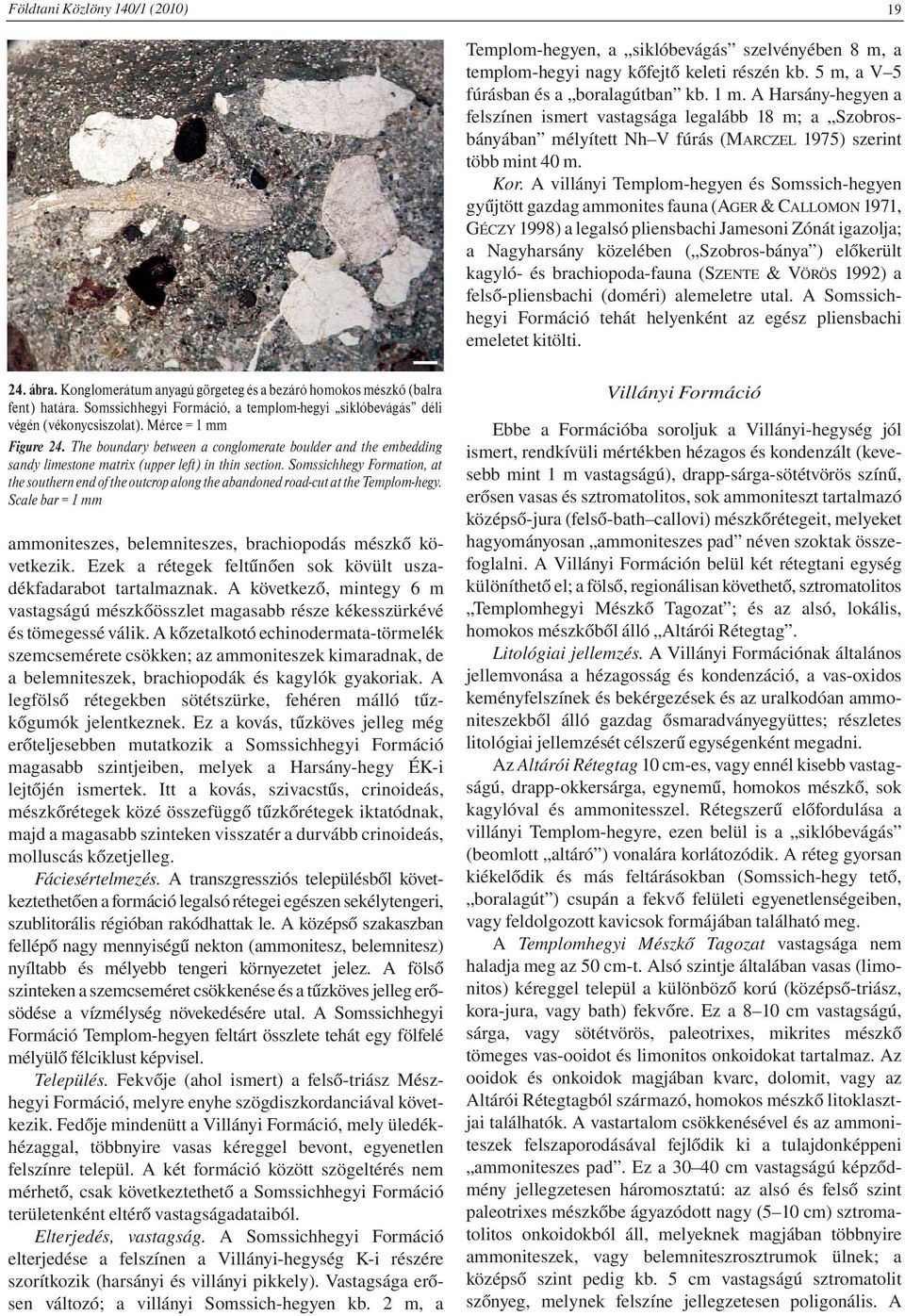 A villányi Templom-hegyen és Somssich-hegyen gyűjtött gazdag ammonites fauna (AGER & CALLOMON 1971, GÉCZY 1998) a legalsó pliensbachi Jamesoni Zónát igazolja; a Nagyharsány közelében ( Szobros-bánya