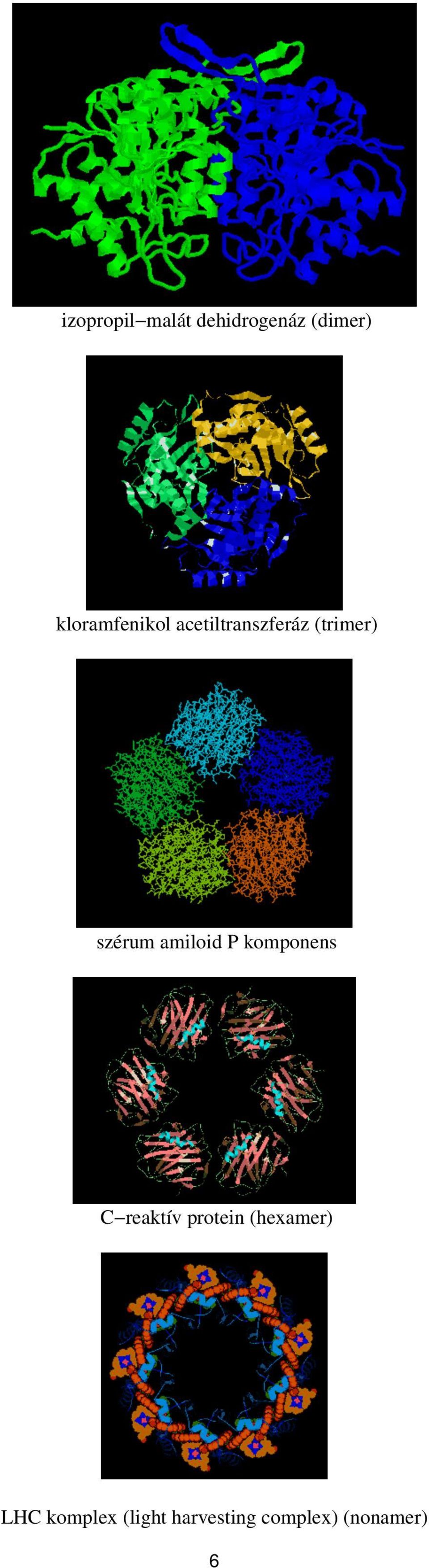 szérum amiloid P komponens C reaktív protein