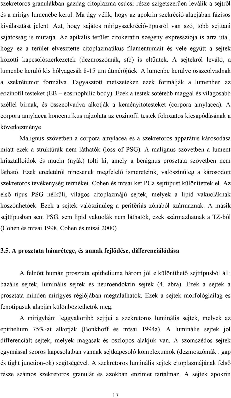 Az apikális terület citokeratin szegény expressziója is arra utal, hogy ez a terület elvesztette citoplazmatikus filamentumait és vele együtt a sejtek közötti kapcsolószerkezetek (dezmoszómák, stb)