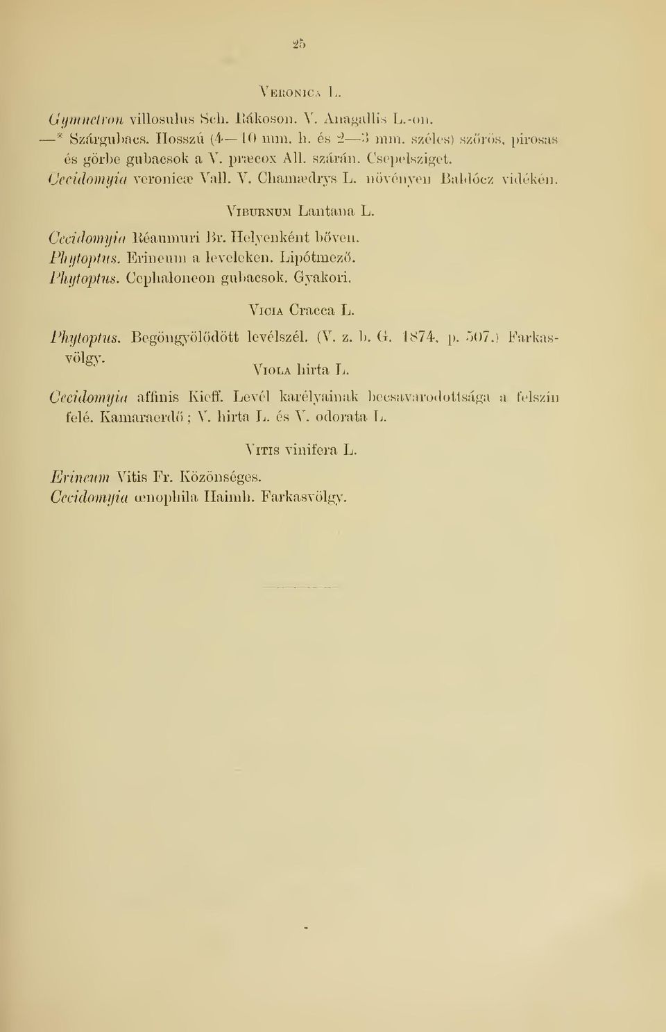 Erinonm a leveleken. Lipótmezö. rii.ytoptus. Cepbaloneon guljacsok. Gyakori. Vicia Cracca L. Fhytophis. Begöng^^ölödött levélszél. (V. z. b. G. 1S74, p. 507.) Farkas- YÖlgy.