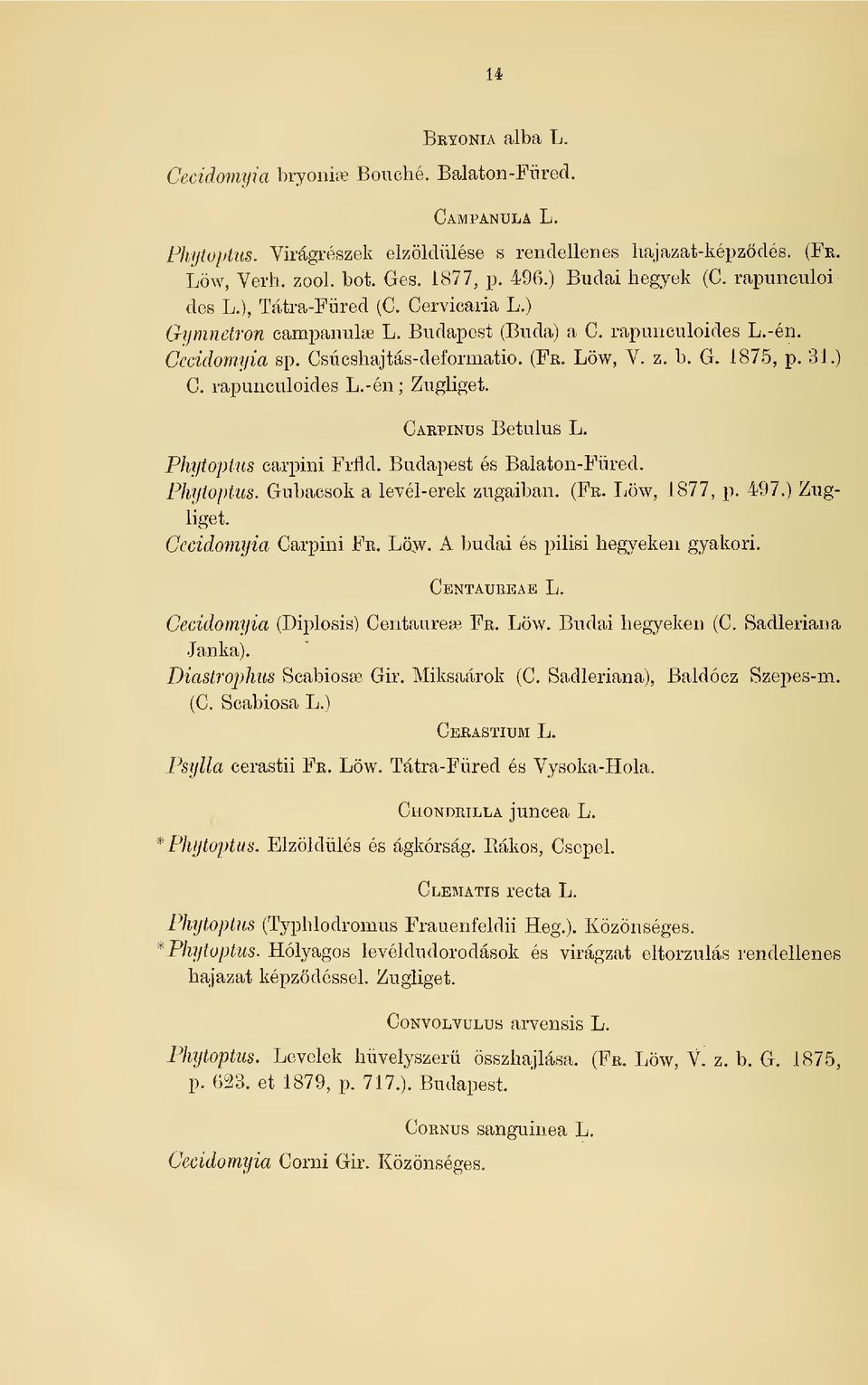 31.) C. rapunculoides L.-én; Zugliget. Carpinus Betulus L. Phytoptus carpini Frfld. Budapest és Balaton-Füred. Phytoptus. Gubacsok a levél-erek zugaiban. (Fr. Löw, 1877, p. 497.) Zugliget.