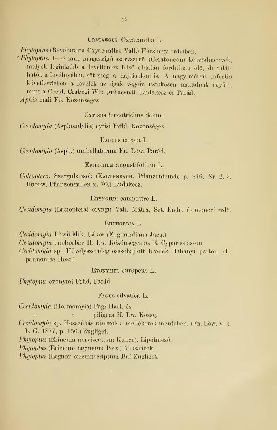A nagy mérv infectio következtében a levelek az ágak végein üstökösen maradnak együtt, mint a Cecid. Cratœgi Wtz. gubacsnál. Budakesz és Párád. Aphis mali Fb. Közönséges. Cytisijs leucotrichus Scliur.