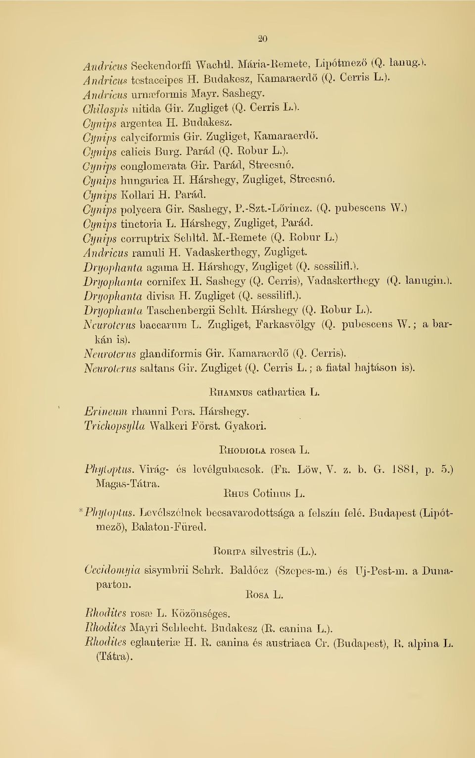 Cynips hungarica H. Hárshegy, Zugliget, Strecsnó. Cynips KoUari H. Párád. Cynips polycera Gir. Sashegy, P.-Szt.-Lrincz. (Q. pubescens W.) Cynips tinctoria L. Hárshegy, Zugliget, Párád.